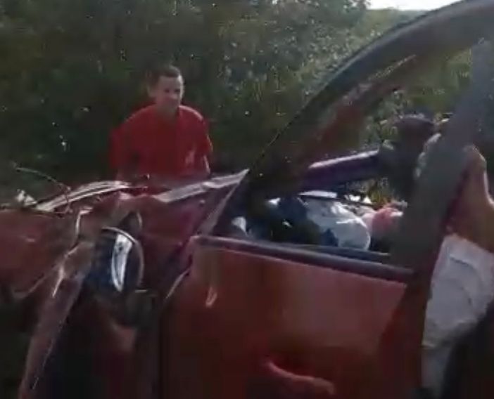 Reprodução/vídeo
