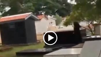 Reprodução/vídeo