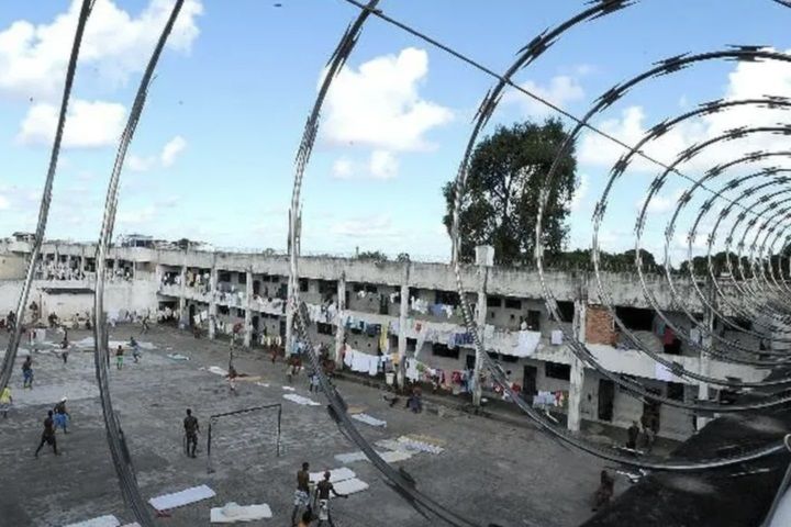 Reprodução