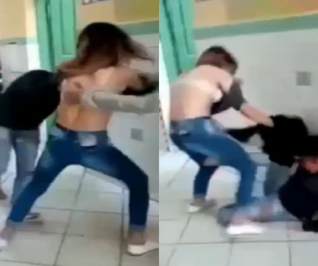 Reprodução