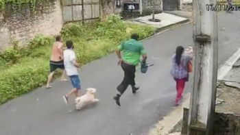 Reprodução/vídeo