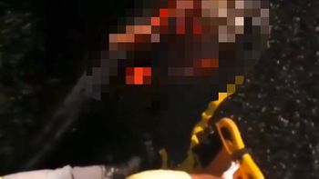 Reprodução/vídeo