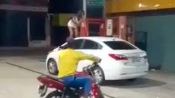 Reprodução