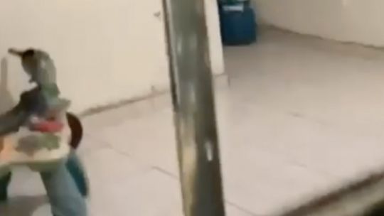 Reprodução/vídeo