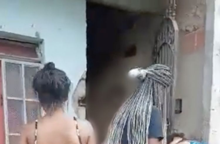 Reprodução/vídeo