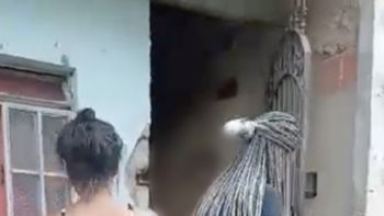Reprodução/vídeo