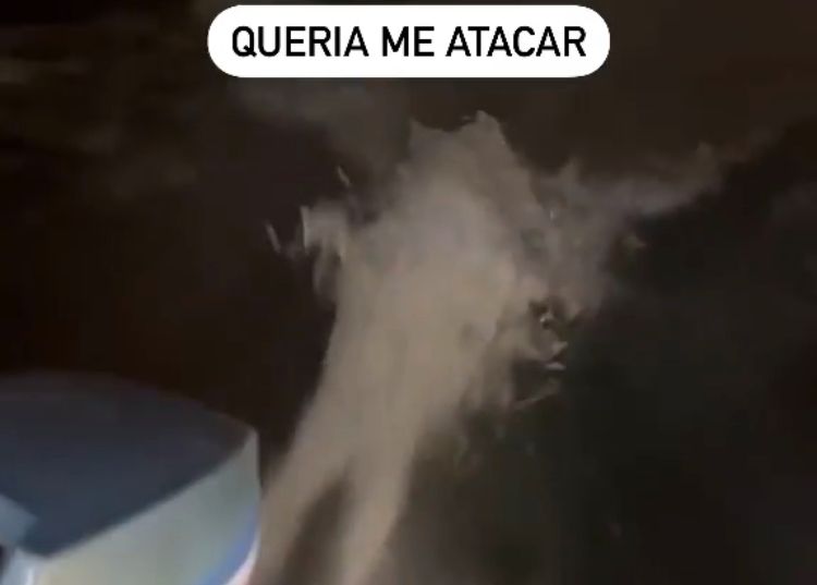 Reprodução/vídeo