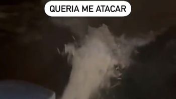 Reprodução/vídeo