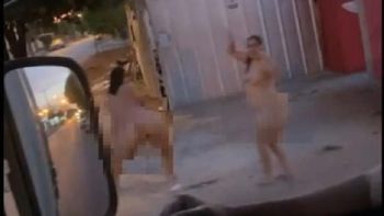 Reprodução/vídeo