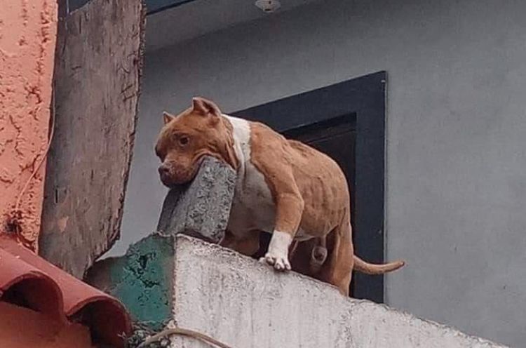 Arquivo pessoal