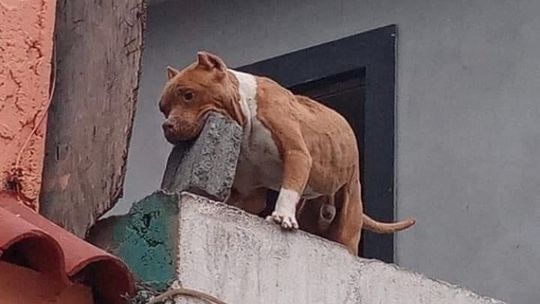 Arquivo pessoal