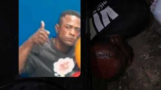 Reprodução