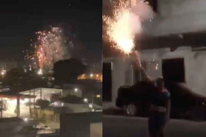 Reprodução