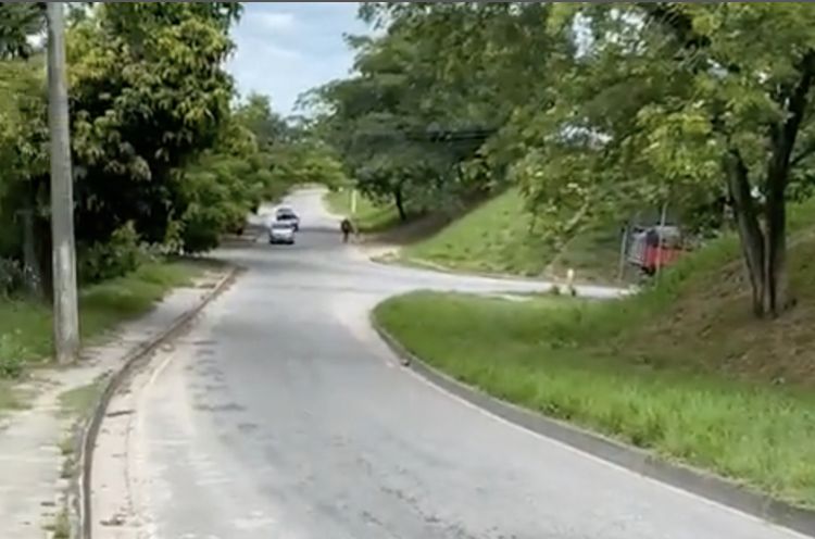 Reprodução/vídeo