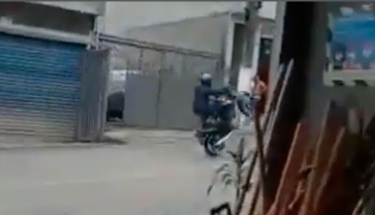 Reprodução/vídeo