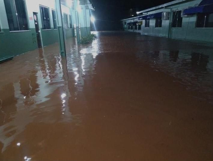 Reprodução