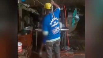 Reprodução/vídeo