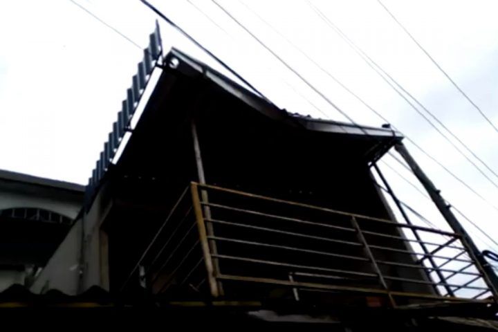 Reprodução