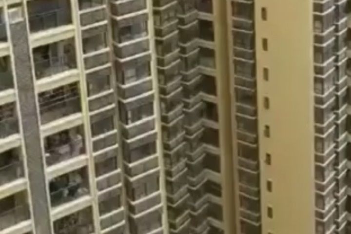 Reprodução/vídeo