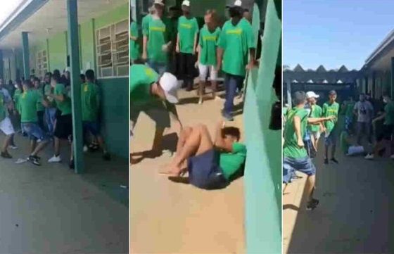 Reprodução