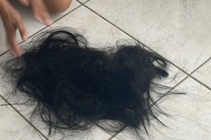 Reprodução/vídeo