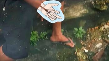 Arquivo pessoal