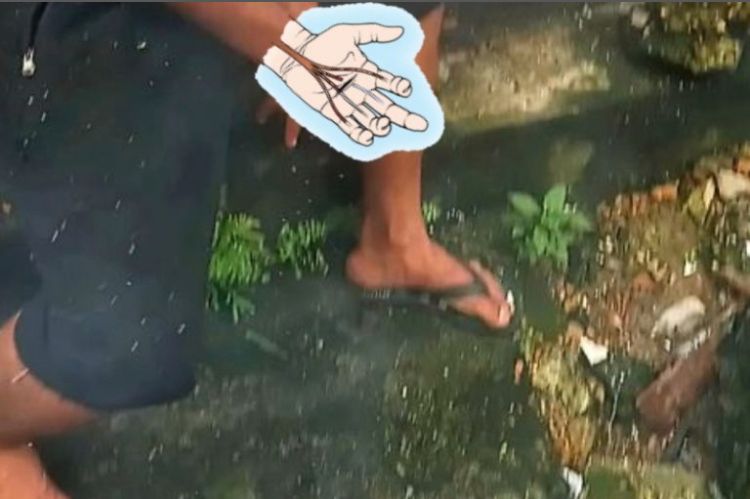 Arquivo pessoal