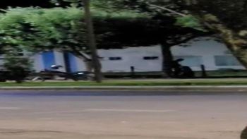 Reprodução/vídeo