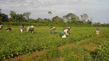 None
