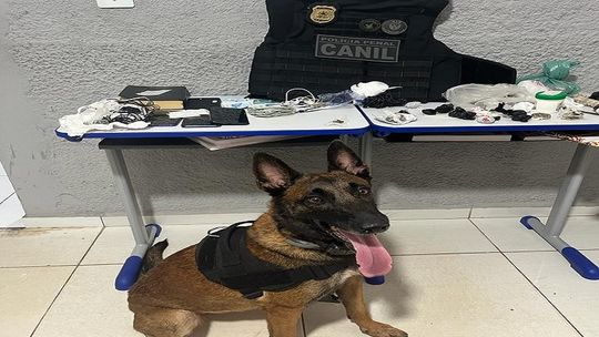 None