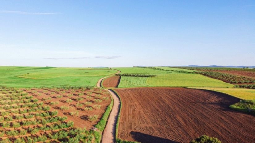 Terras agrícolas: projeto valoriza a atuação de profissionais em casos de conflitos fundiários rurais e urbanos.