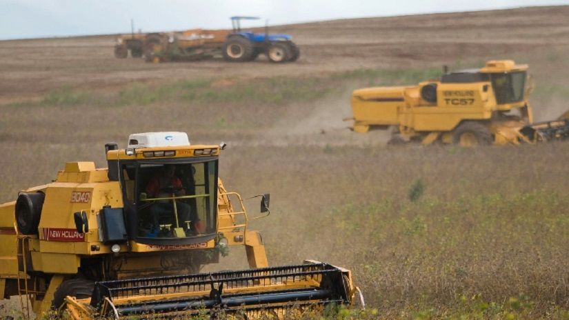 Seca e calor reduzem estimativa de produção de grãos de verão. Foto: Jonas Oliveira/Arquivo ANPr