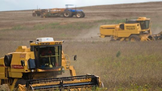 Seca e calor reduzem estimativa de produção de grãos de verão. Foto: Jonas Oliveira/Arquivo ANPr