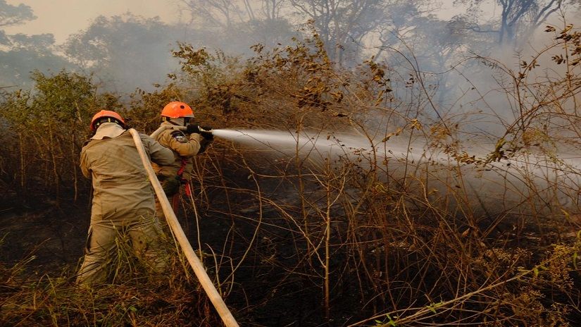 Combate aos incêndios no Pantanal, em Poconé Crédito - Mayke Toscano/Secom