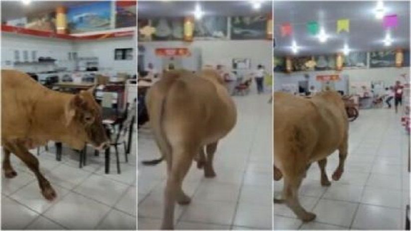Reprodução / Redes sociais