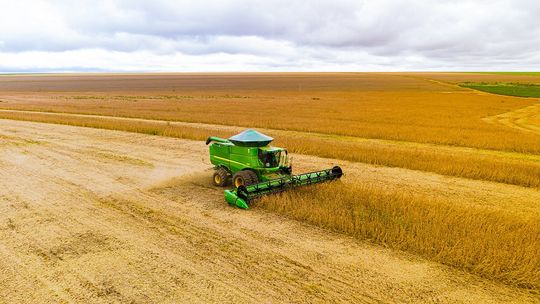 O período da proibição do plantio da soja em Mato Grosso começa na próxima quinta-feira (15.06) e segue até 15 de setembro, comunica o Insti