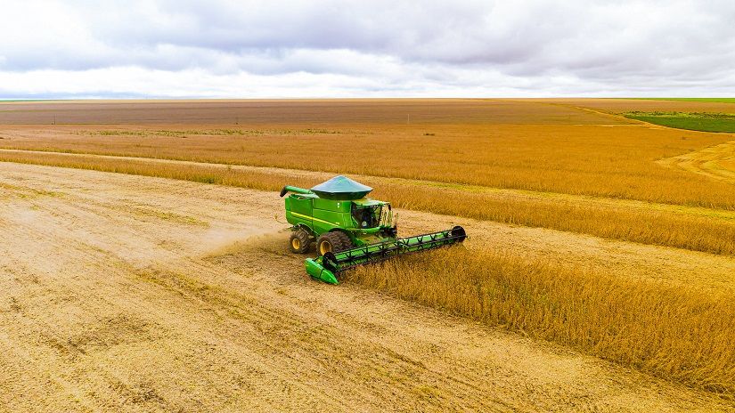 O período da proibição do plantio da soja em Mato Grosso começa na próxima quinta-feira (15.06) e segue até 15 de setembro, comunica o Insti