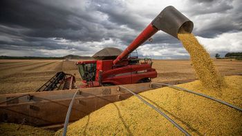 Wenderson Araujo / Trilux