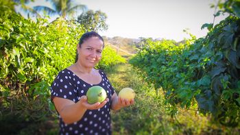 Ângela produz maracujá no município de Nov Brasilândia já pretende expandir a área de produção - Foto por: Lucas Diego/Seaf-MT