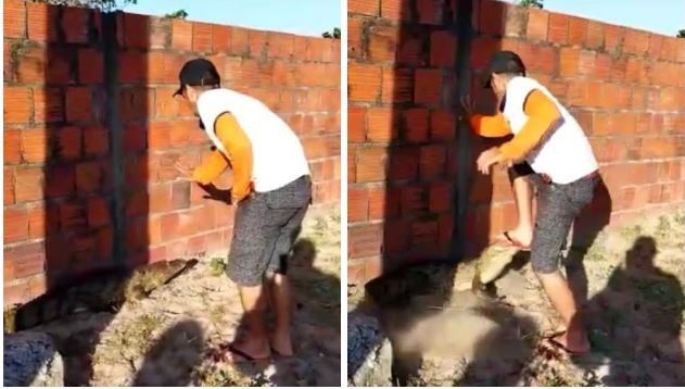 Jacaré foi resgatado pelo Corpo de Bombeiros do Ceará  |  Reprodução/Vídeo
