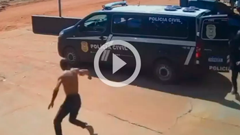 Reprodução