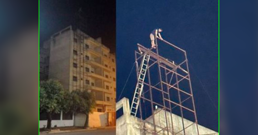 Reprodução