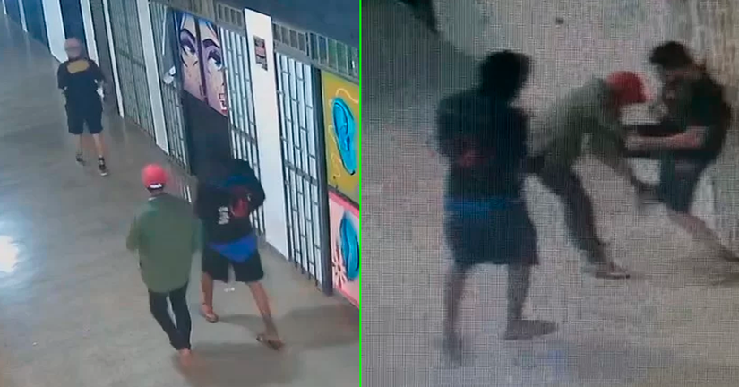 Reprodução