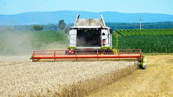 Em agosto, a receita foi de R$6,47 bilhões contra R$ 8,04 bi, no mesmo período do ano passado – Imagem de Matthias Böckel por Pixabay