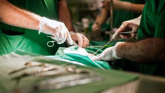 No curso, foram abordados os aspectos legais, éticos e as etapas do processo de doação de órgãos no Brasil