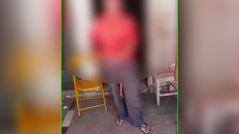 Reprodução