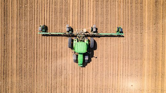 Foto: Loren King / Unsplash