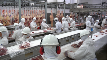 As novas plantas autorizadas estão localizadas em Várzea Grande, Colíder, Diamantino, Confresa, Alta Floresta e Pontes e Lacerda. - Foto por