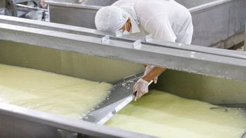 Foram definidos critérios para a manipulação e o beneficiamento de produtos de origem animal, abrangendo leite, carnes, ovos, pescado e mel