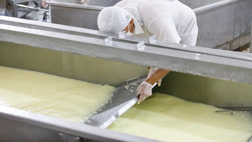 Foram definidos critérios para a manipulação e o beneficiamento de produtos de origem animal, abrangendo leite, carnes, ovos, pescado e mel